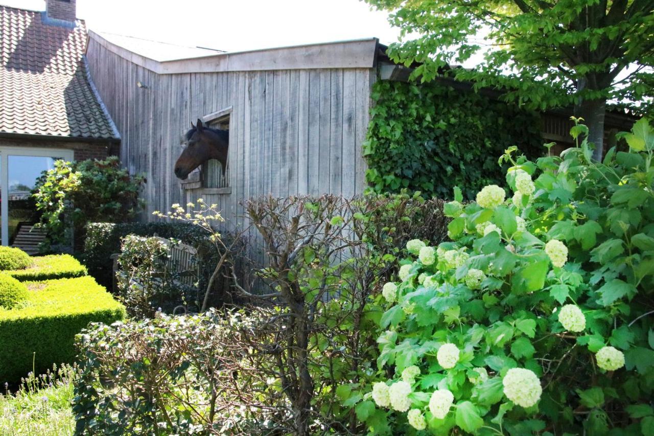 B&B Het Welthof Bree Exterior photo